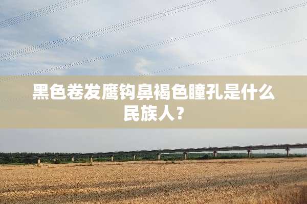 黑色卷发鹰钩鼻褐色瞳孔是什么民族人？