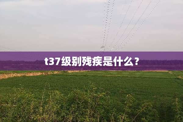 t37级别残疾是什么？