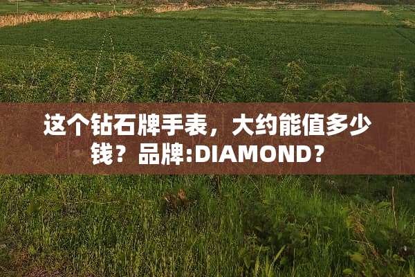 这个钻石牌手表，大约能值多少钱？品牌:DIAMOND？