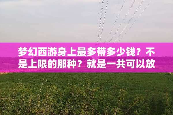 梦幻西游身上最多带多少钱？不是上限的那种？就是一共可以放身上多少钱？