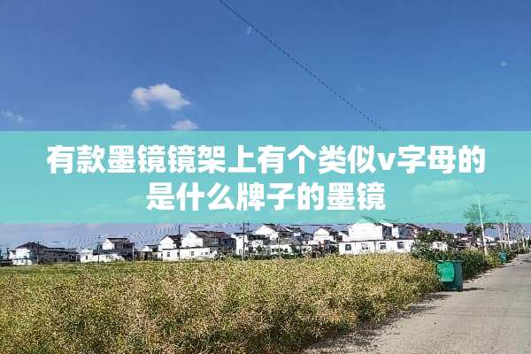 有款墨镜镜架上有个类似v字母的是什么牌子的墨镜