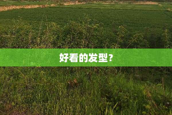 好看的发型？
