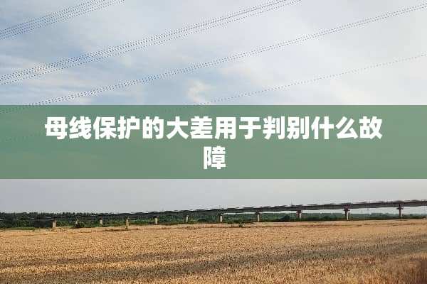 母线保护的大差用于判别什么故障