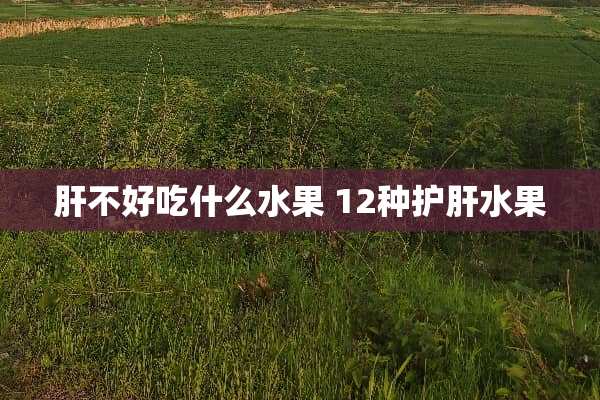 肝不好吃什么水果 12种护肝水果