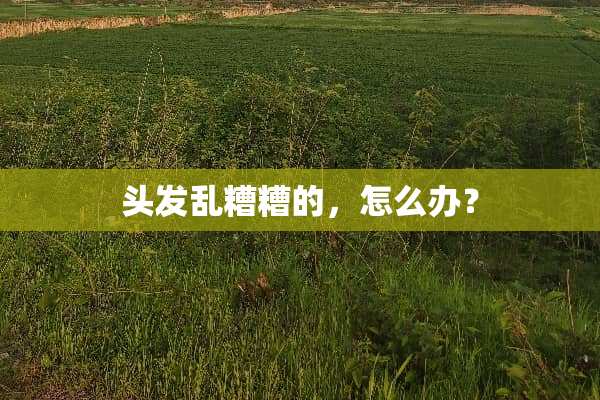 头发乱糟糟的，怎么办？
