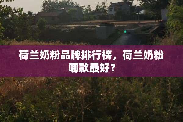 荷兰奶粉品牌排行榜，荷兰奶粉哪款最好？