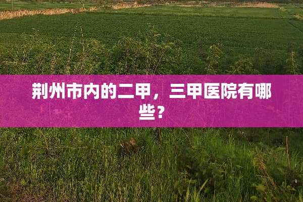 荆州市内的二甲，三甲医院有哪些？