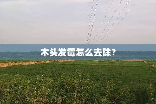 木头发霉怎么去除？
