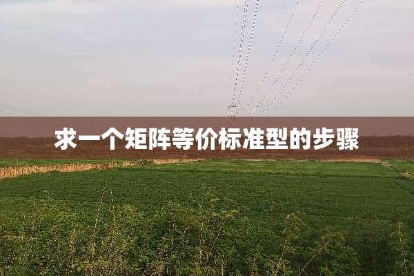 求一个矩阵等价标准型的步骤