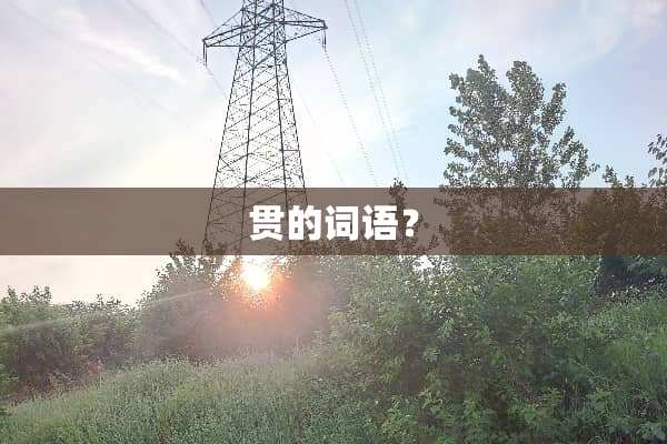 贯的词语？