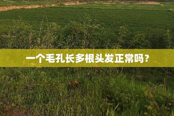 一个毛孔长多根头发正常吗？