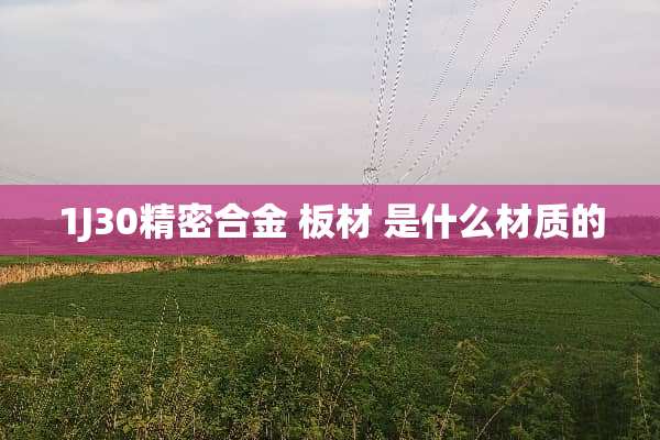 1J30精密合金 板材 是什么材质的