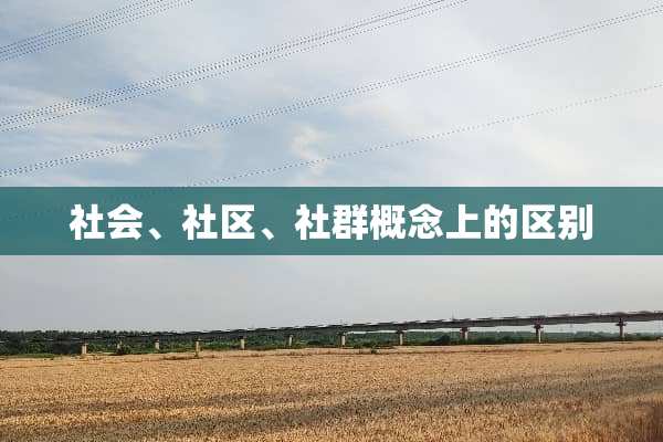 社会、社区、社群概念上的区别
