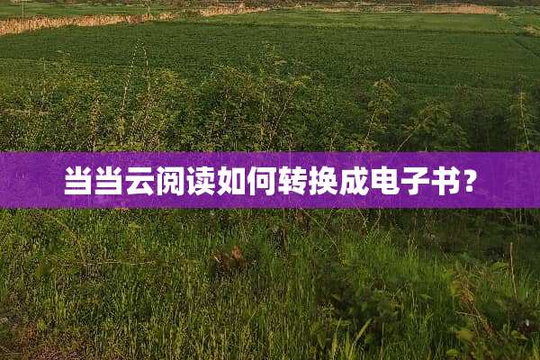 当当云阅读如何转换成电子书？
