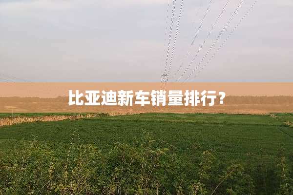 比亚迪新车销量排行？
