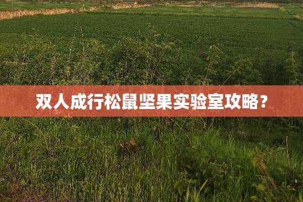 双人成行松鼠坚果实验室攻略？
