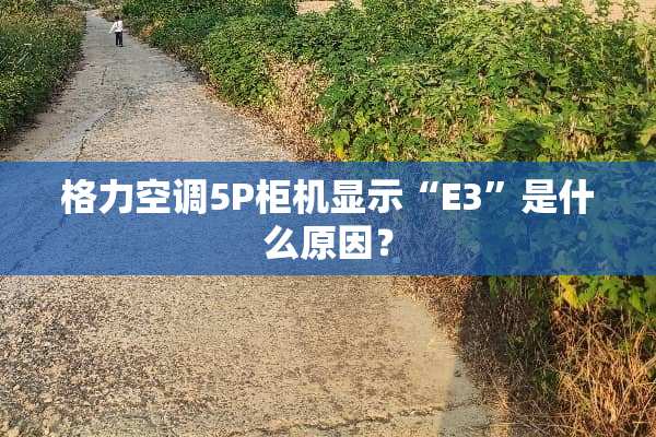 格力空调5P柜机显示“E3”是什么原因？