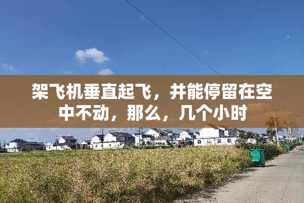 架飞机垂直起飞，并能停留在空中不动，那么，几个小时