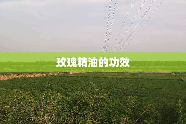 玫瑰精油的功效