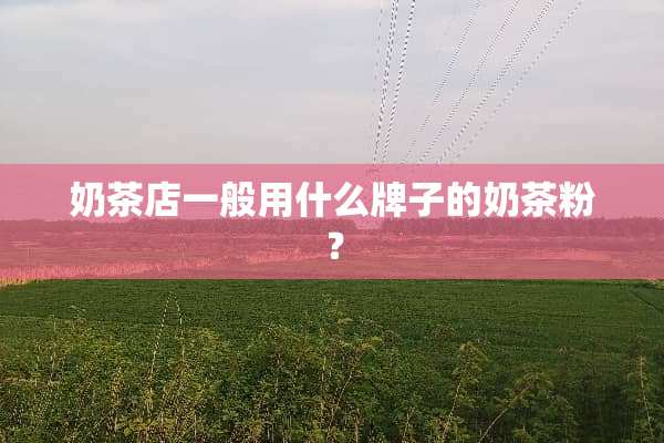 奶茶店一般用什么牌子的奶茶粉？