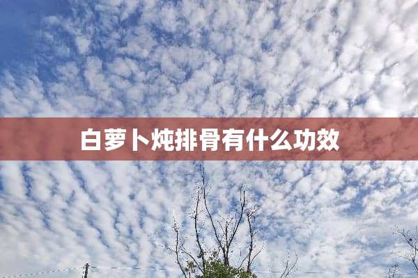 白萝卜炖排骨有什么功效