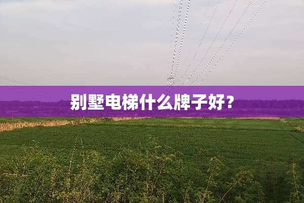 别墅电梯什么牌子好？