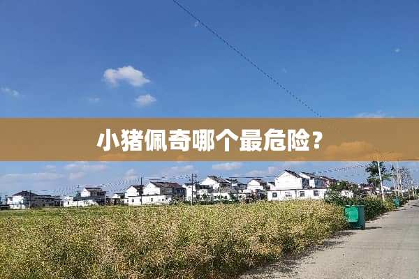 小猪佩奇哪个最危险？