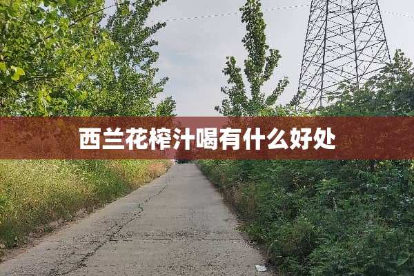 西兰花榨汁喝有什么好处