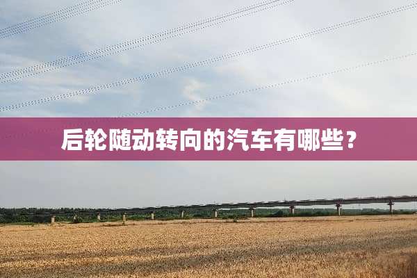 后轮随动转向的汽车有哪些？