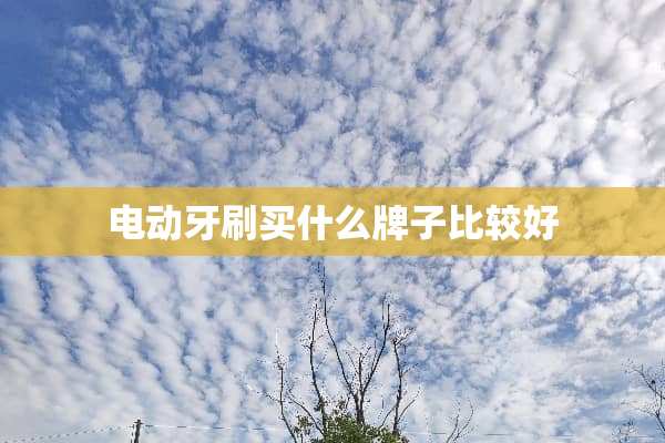电动牙刷买什么牌子比较好