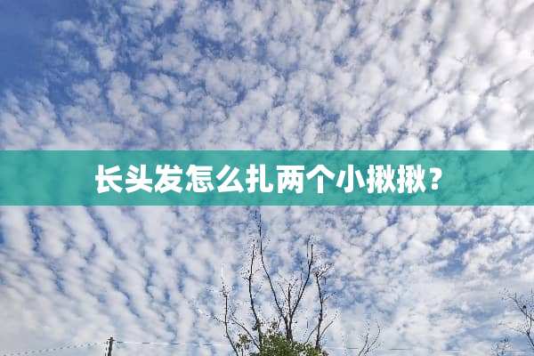 长头发怎么扎两个小揪揪？