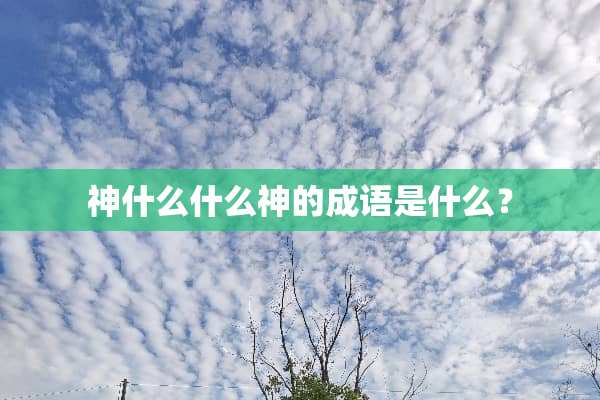 神什么什么神的成语是什么？
