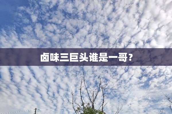 卤味三巨头谁是一哥？