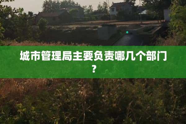 城市管理局主要负责哪几个部门？