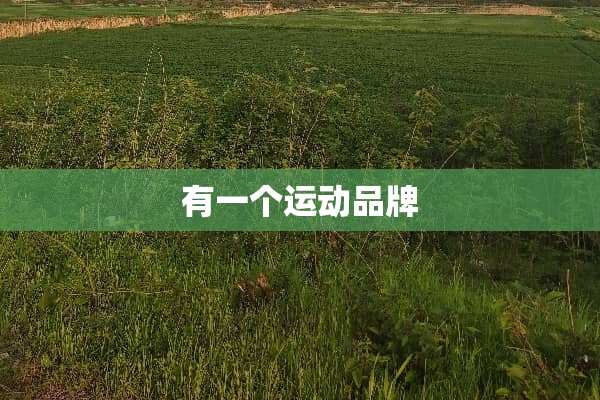 有一个运动品牌