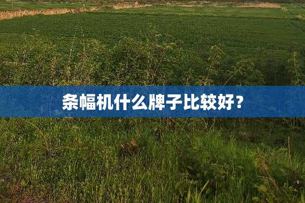 条幅机什么牌子比较好？