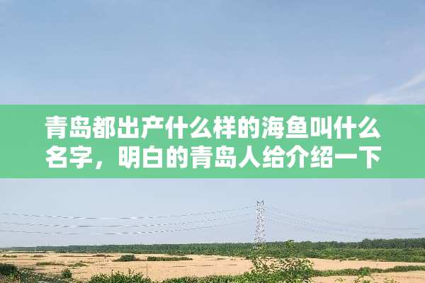 青岛都出产什么样的海鱼叫什么名字，明白的青岛人给介绍一下吧。鲅鱼是都知道的