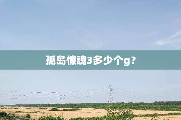 孤岛惊魂3多少个g？