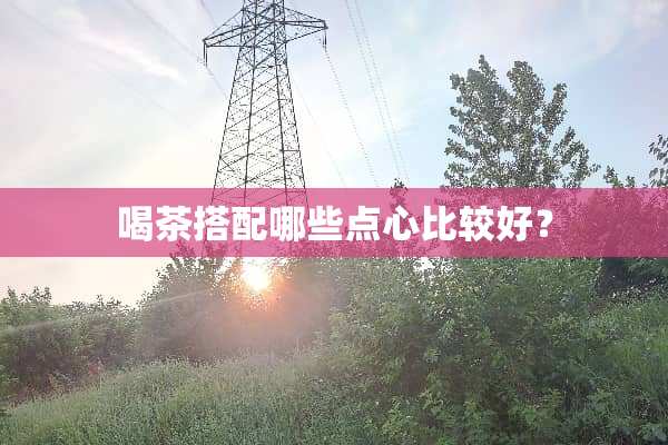 喝茶搭配哪些点心比较好？