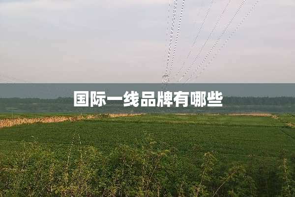 国际一线品牌有哪些