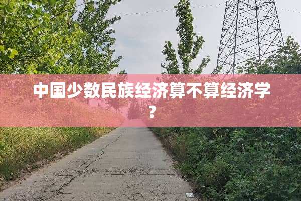 中国少数民族经济算不算经济学？