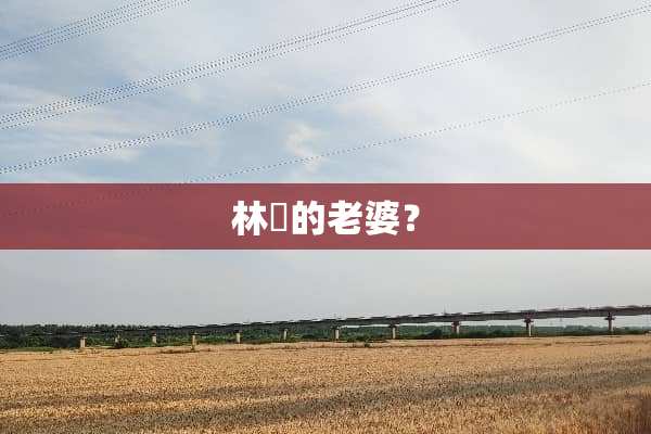 林峯的老婆？