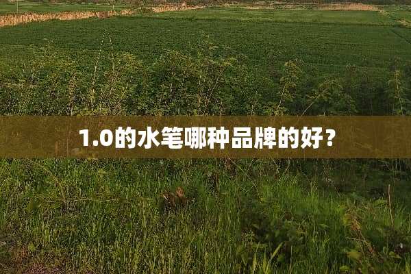1.0的水笔哪种品牌的好？