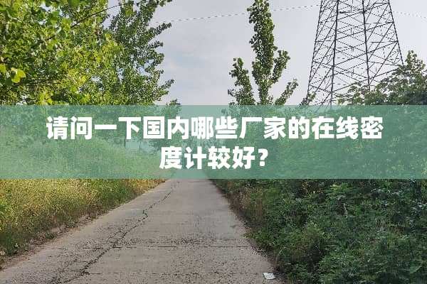 请问一下国内哪些厂家的在线密度计较好？