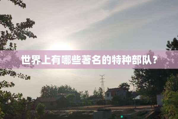 世界上有哪些著名的特种部队？