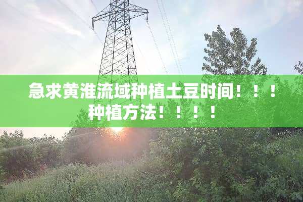 急求黄淮流域种植土豆时间！！！种植方法！！！！