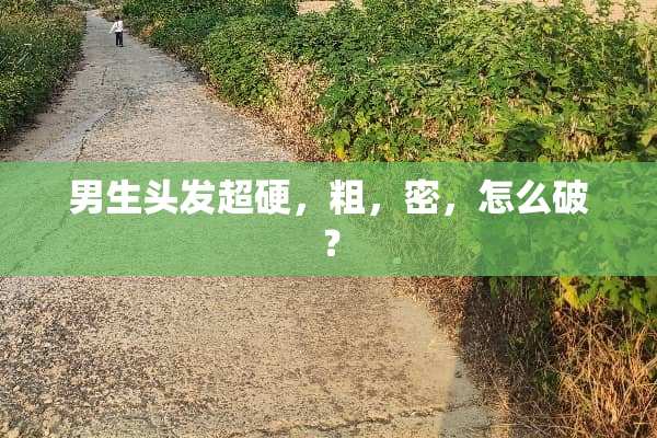 男生头发超硬，粗，密，怎么破？