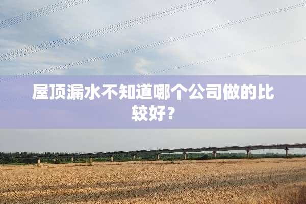 屋顶漏水不知道哪个公司做的比较好？