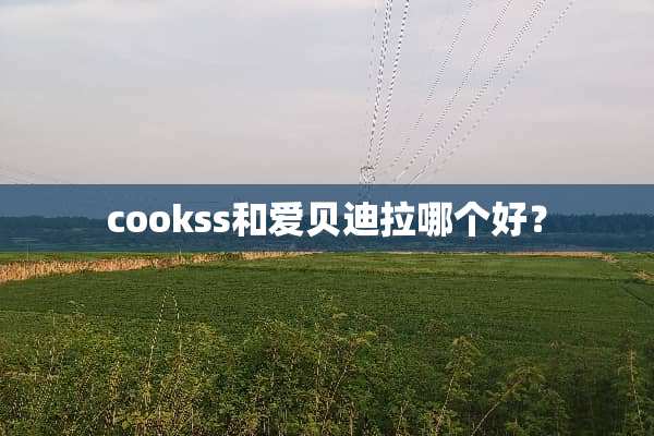 cookss和爱贝迪拉哪个好？