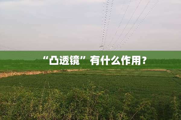 “凸透镜”有什么作用？
